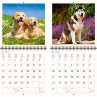 2026 Schreiben von Kalender 30 x 30 Hunde