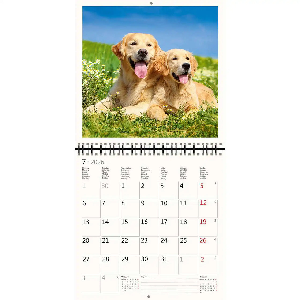 2026 Schreiben von Kalender 30 x 30 Hunde