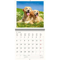 2026 Schreiben von Kalender 30 x 30 Hunde