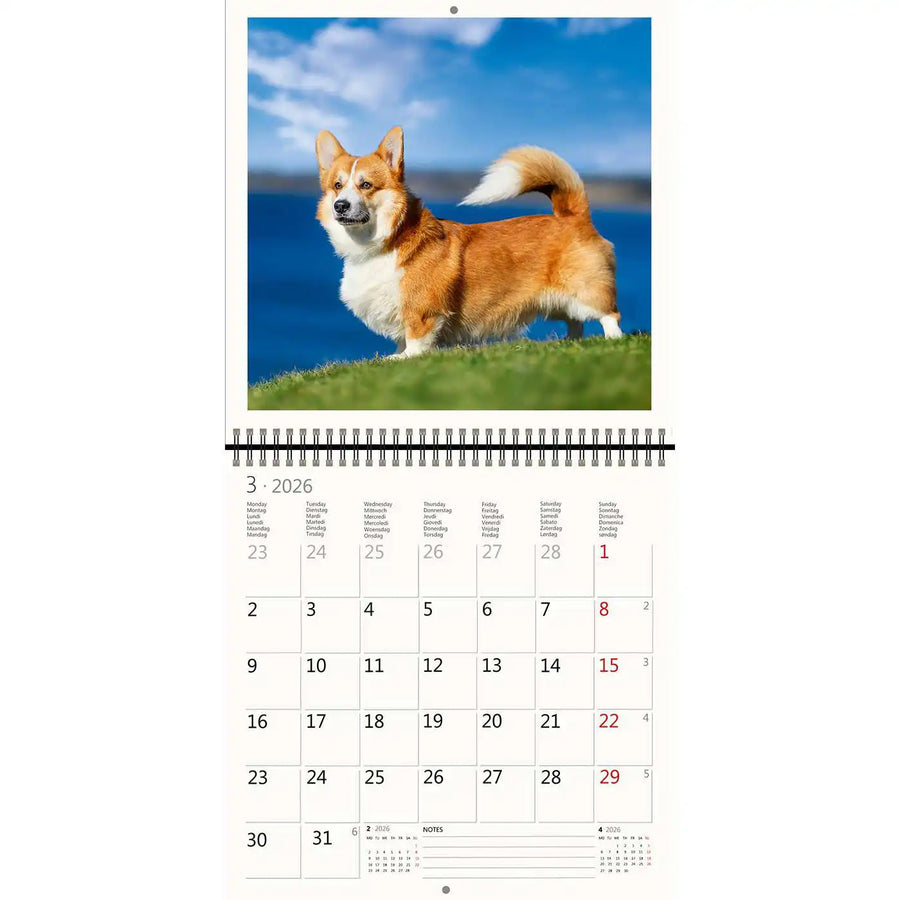 2026 Schreiben von Kalender 30 x 30 Hunde