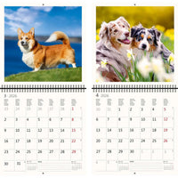 2026 Schreiben von Kalender 30 x 30 Hunde
