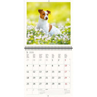 2026 Schreiben von Kalender 30 x 30 Hunde