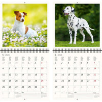 2026 Schreiben von Kalender 30 x 30 Hunde