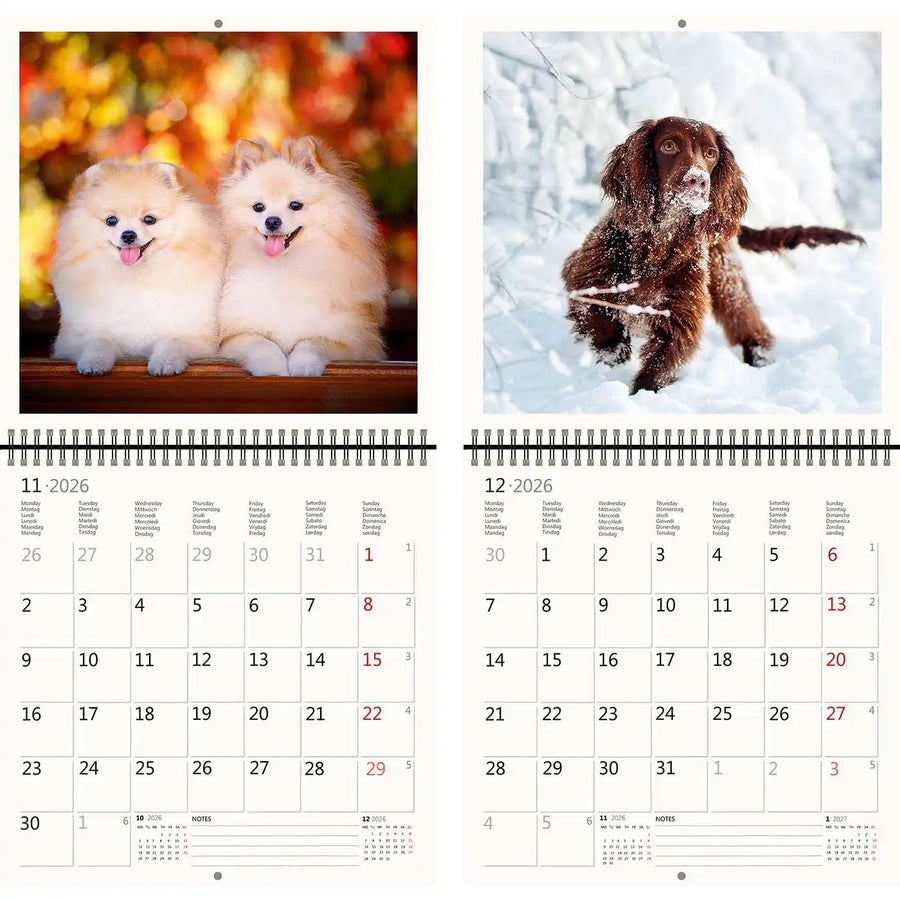 2026 Schreiben von Kalender 30 x 30 Hunde