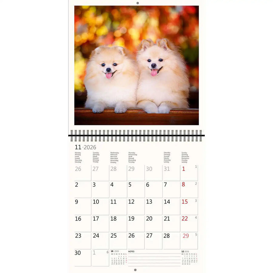 2026 Schreiben von Kalender 30 x 30 Hunde