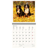 2026 Schreiben von Kalender 30 x 30 Hunde