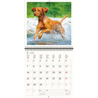2026 Schreiben von Kalender 30 x 30 Hunde