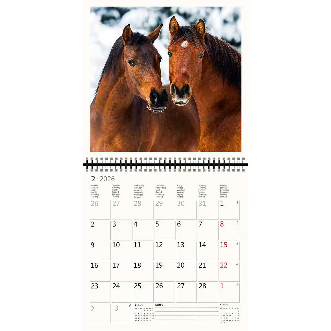 2026 Kalender schreiben 30 x 30 Pferde