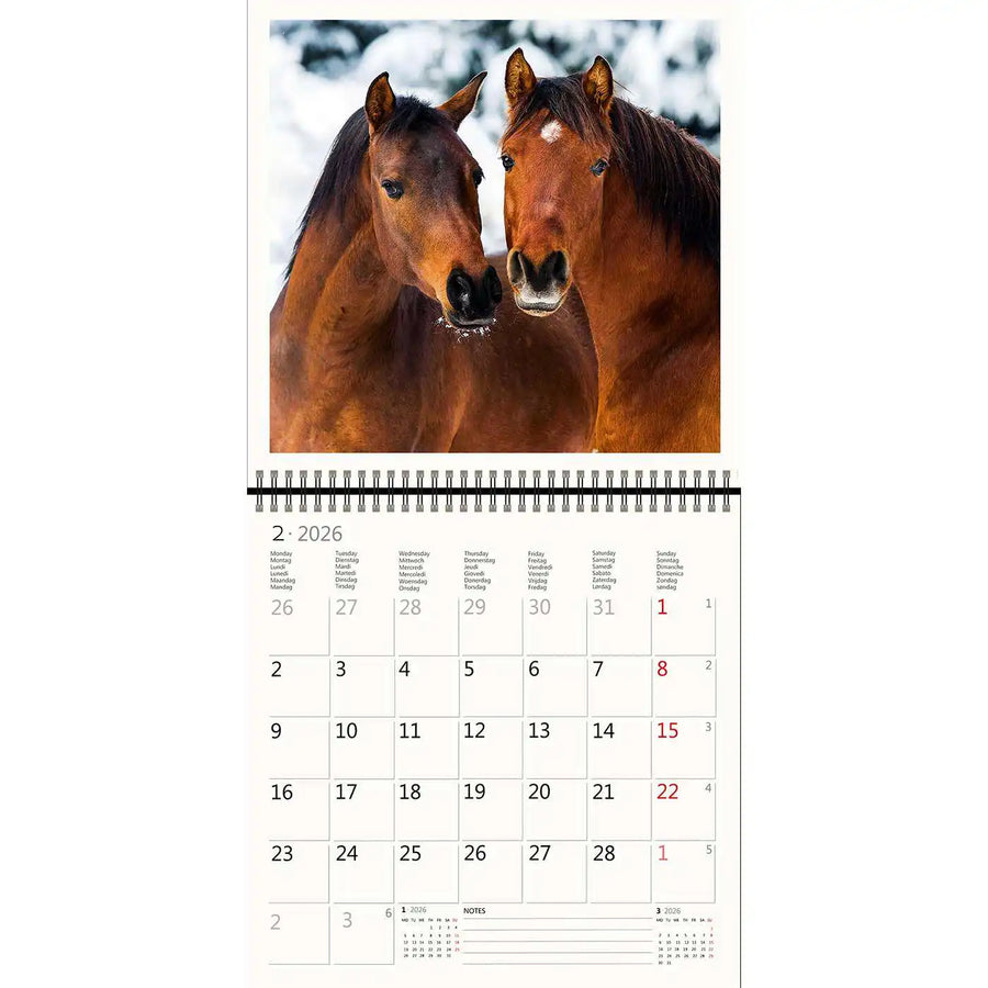 2026 Kalender schreiben 30 x 30 Pferde