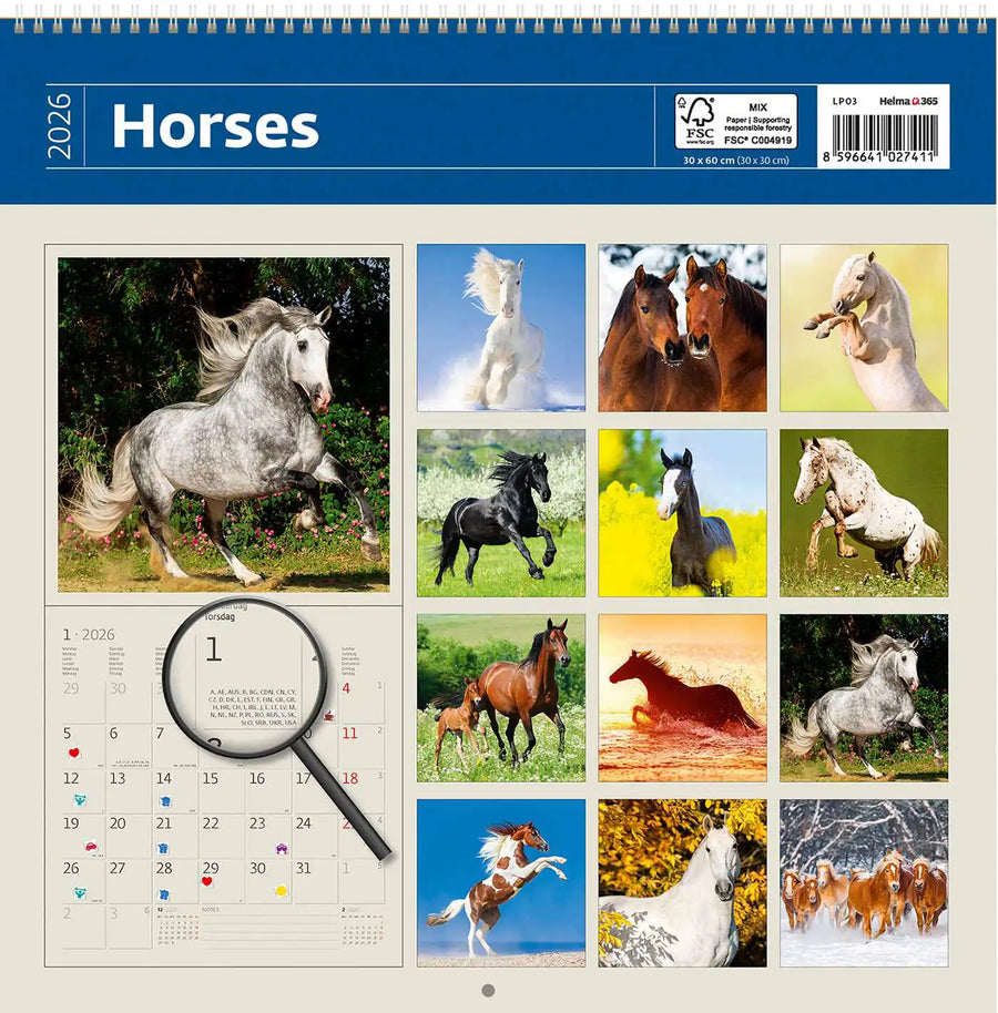 2026 Kalender schreiben 30 x 30 Pferde