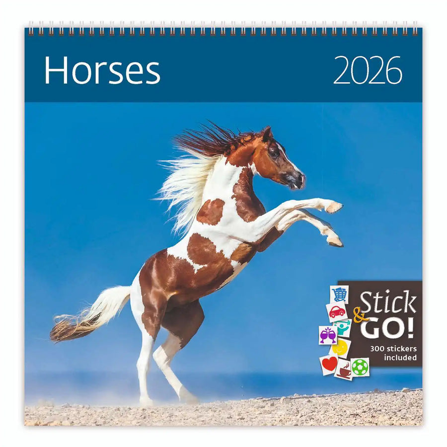 2026 Kalender schreiben 30 x 30 Pferde