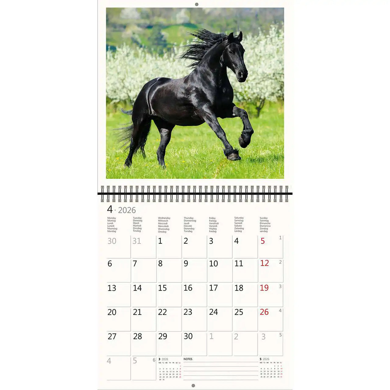 2026 Kalender schreiben 30 x 30 Pferde