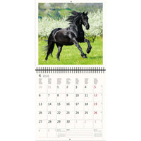 2026 Kalender schreiben 30 x 30 Pferde