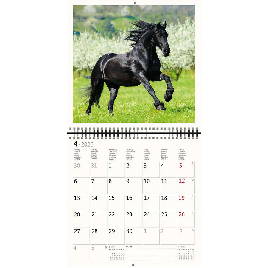 2026 Kalender schreiben 30 x 30 Pferde