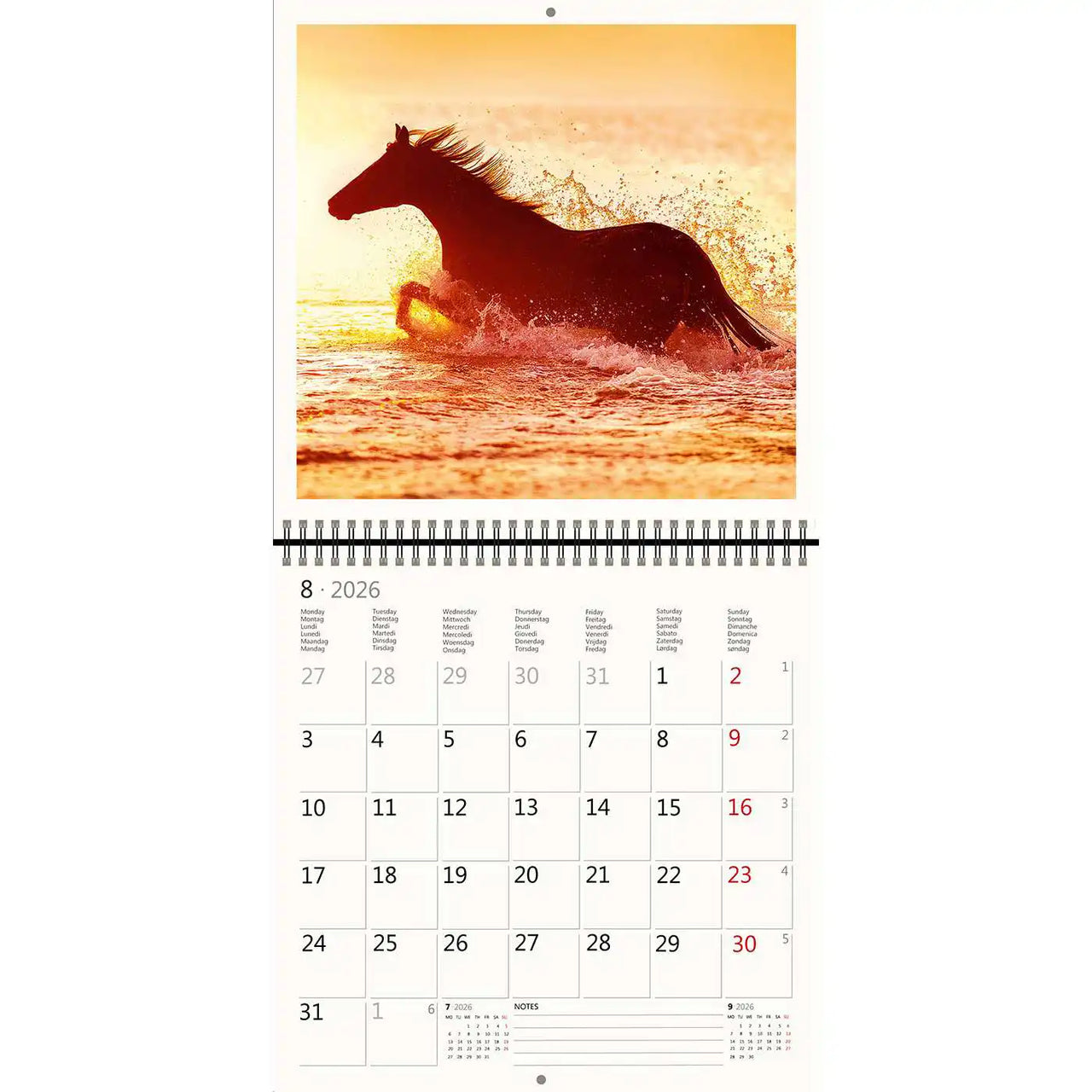 2026 Kalender schreiben 30 x 30 Pferde