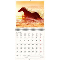 2026 Kalender schreiben 30 x 30 Pferde