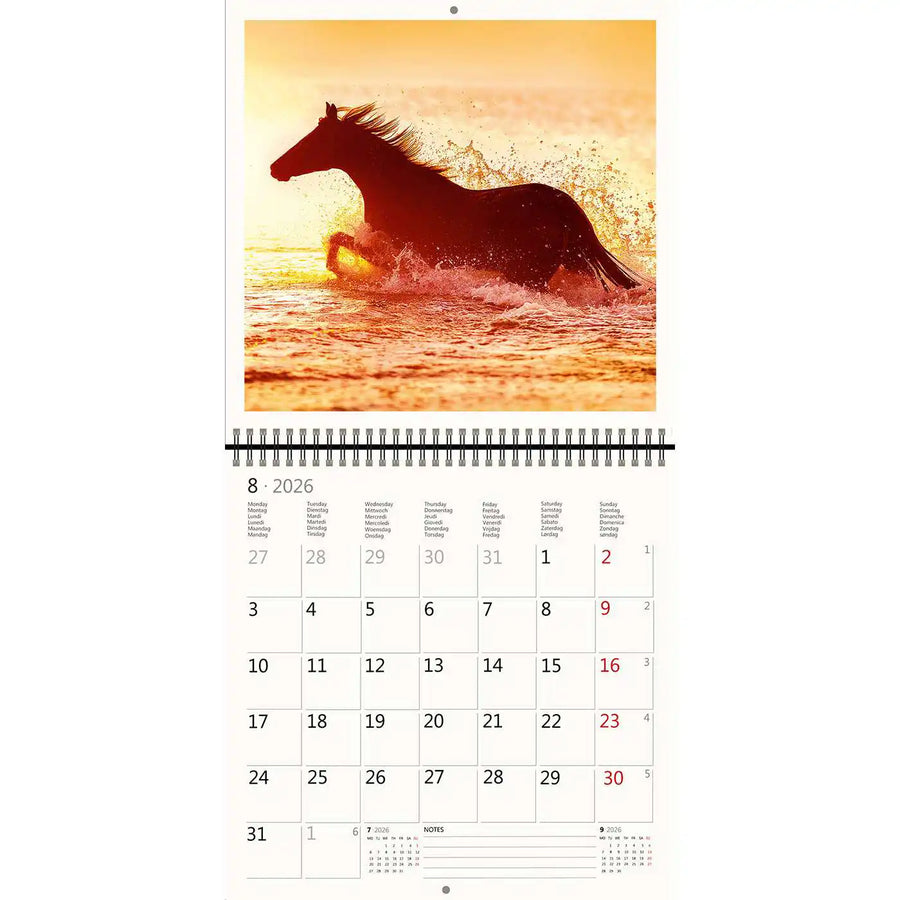 2026 Kalender schreiben 30 x 30 Pferde