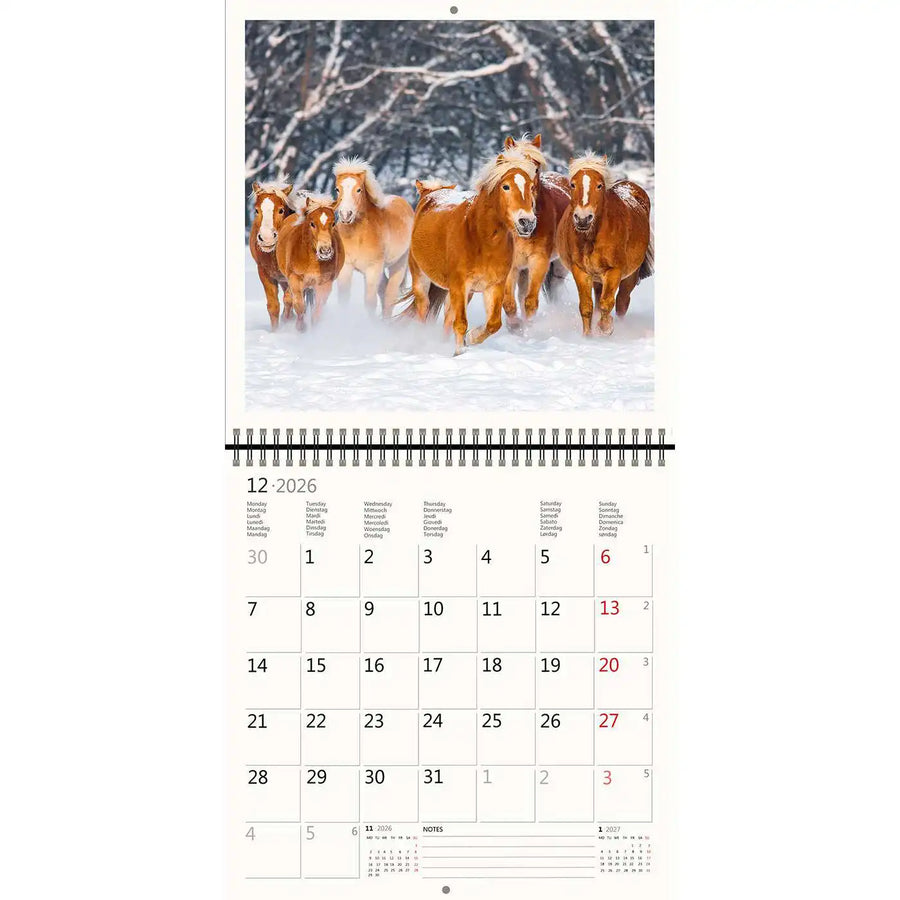 2026 Kalender schreiben 30 x 30 Pferde