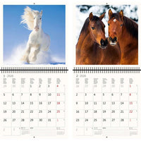 2026 Kalender schreiben 30 x 30 Pferde