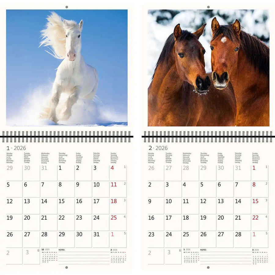 2026 Kalender schreiben 30 x 30 Pferde