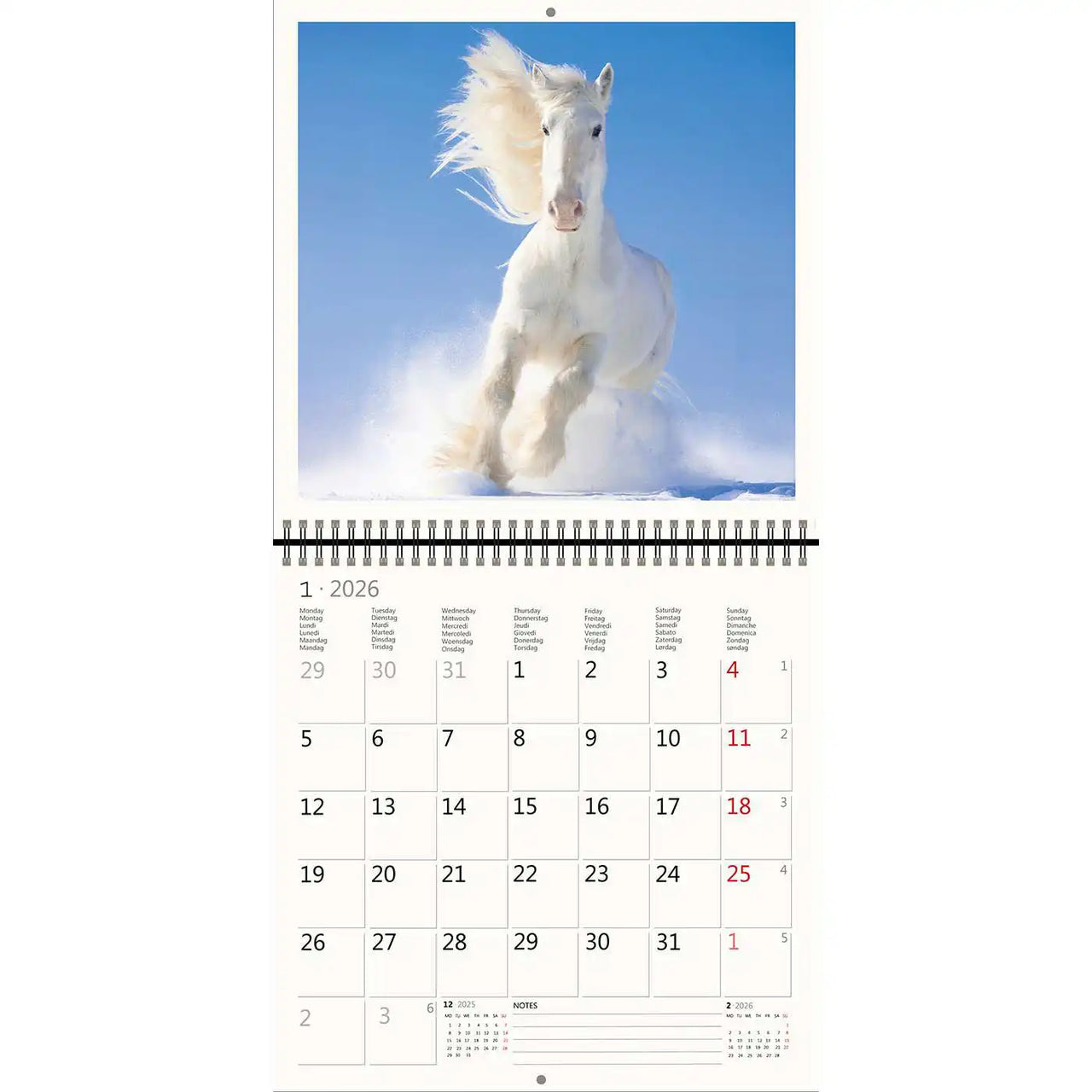 2026 Kalender schreiben 30 x 30 Pferde