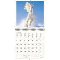 2026 Kalender schreiben 30 x 30 Pferde