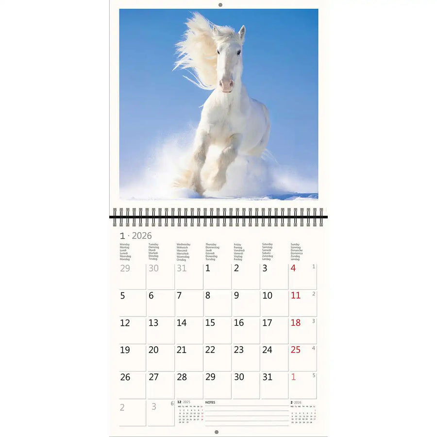 2026 Kalender schreiben 30 x 30 Pferde