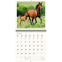 2026 Kalender schreiben 30 x 30 Pferde