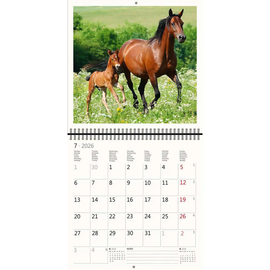 2026 Kalender schreiben 30 x 30 Pferde