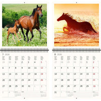 2026 Kalender schreiben 30 x 30 Pferde