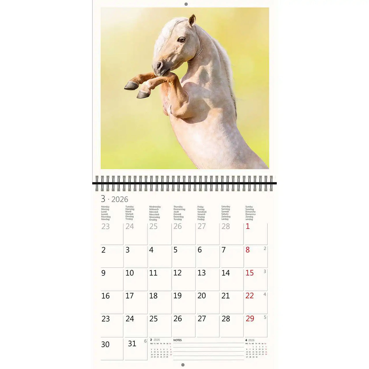 2026 Kalender schreiben 30 x 30 Pferde
