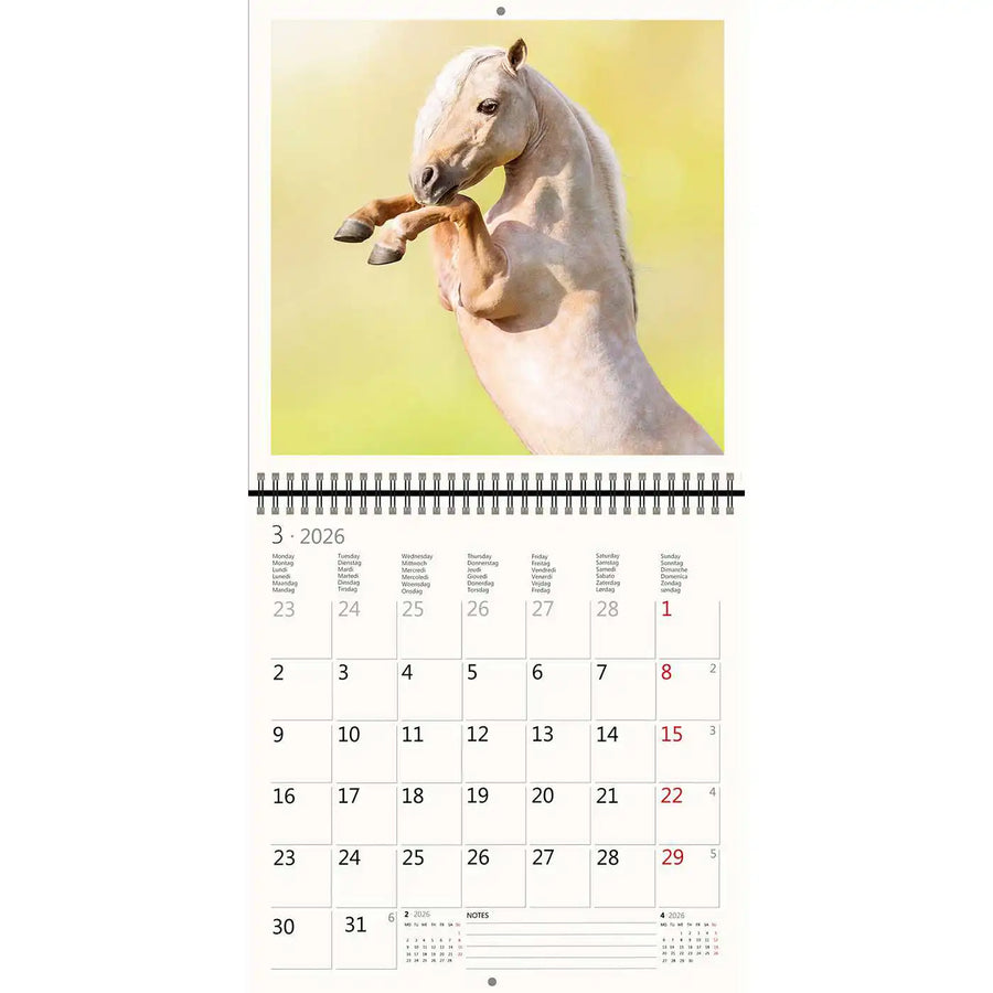 2026 Kalender schreiben 30 x 30 Pferde