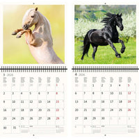 2026 Kalender schreiben 30 x 30 Pferde
