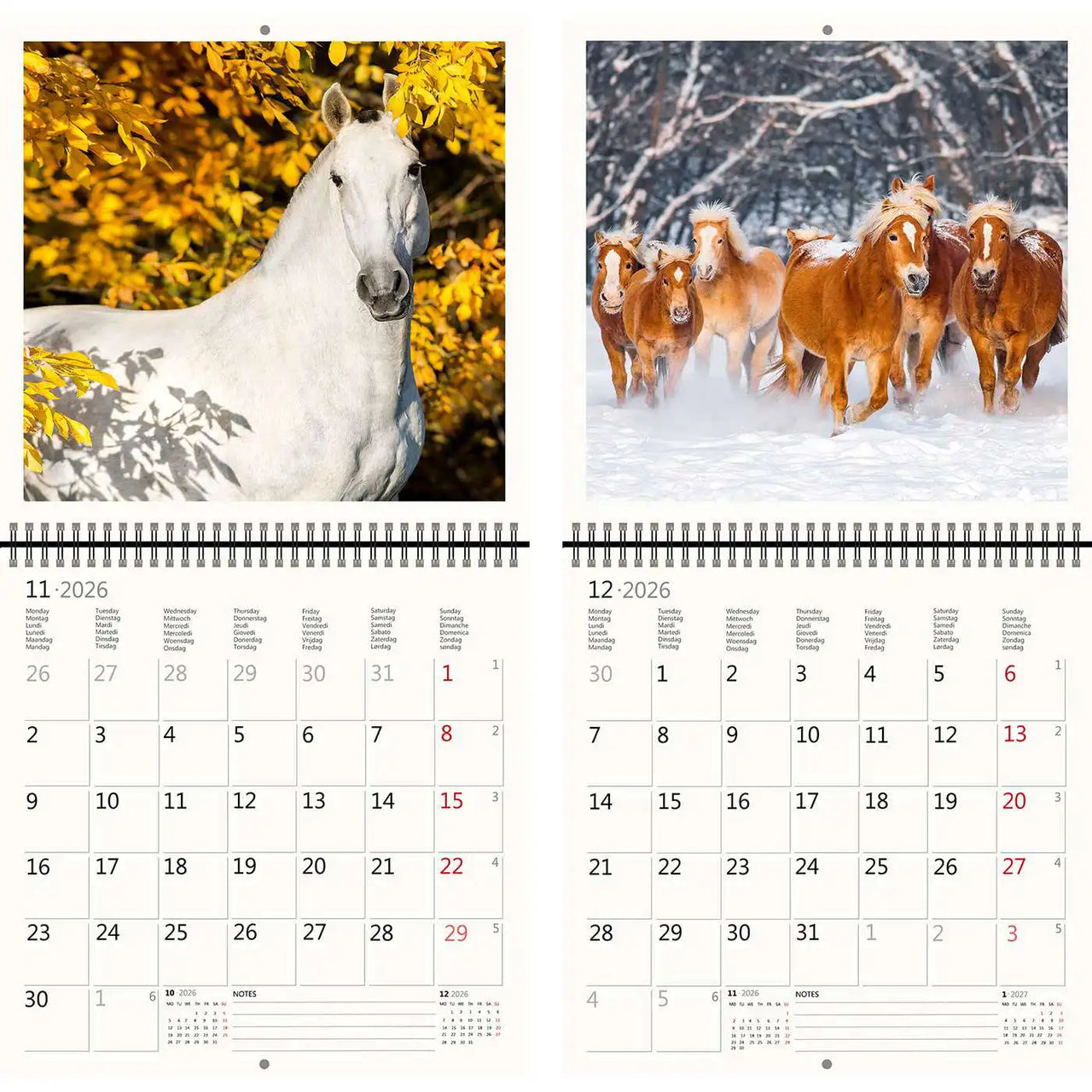 2026 Kalender schreiben 30 x 30 Pferde
