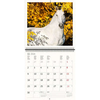 2026 Kalender schreiben 30 x 30 Pferde