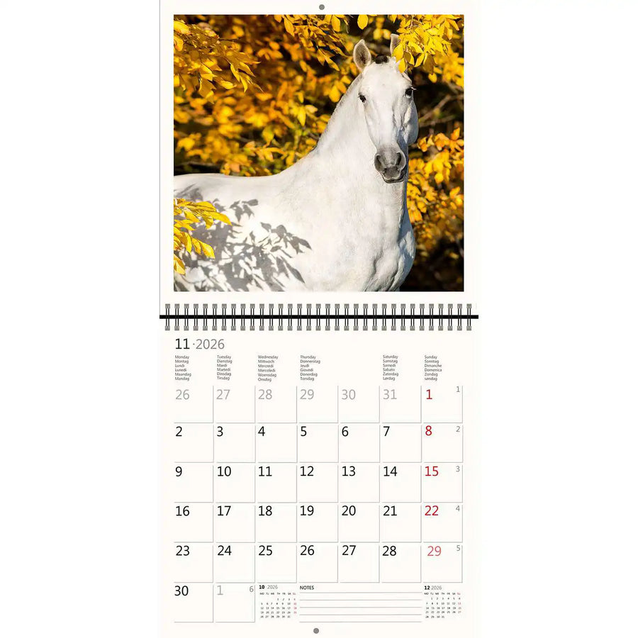 2026 Kalender schreiben 30 x 30 Pferde