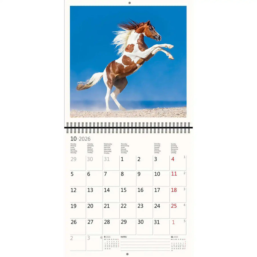 2026 Kalender schreiben 30 x 30 Pferde