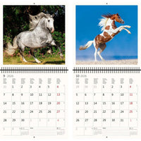 2026 Kalender schreiben 30 x 30 Pferde