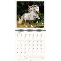 2026 Kalender schreiben 30 x 30 Pferde