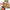 Erotic Nude Calendar CutePinups 2026-27-27-28 plus free 2025 calendar