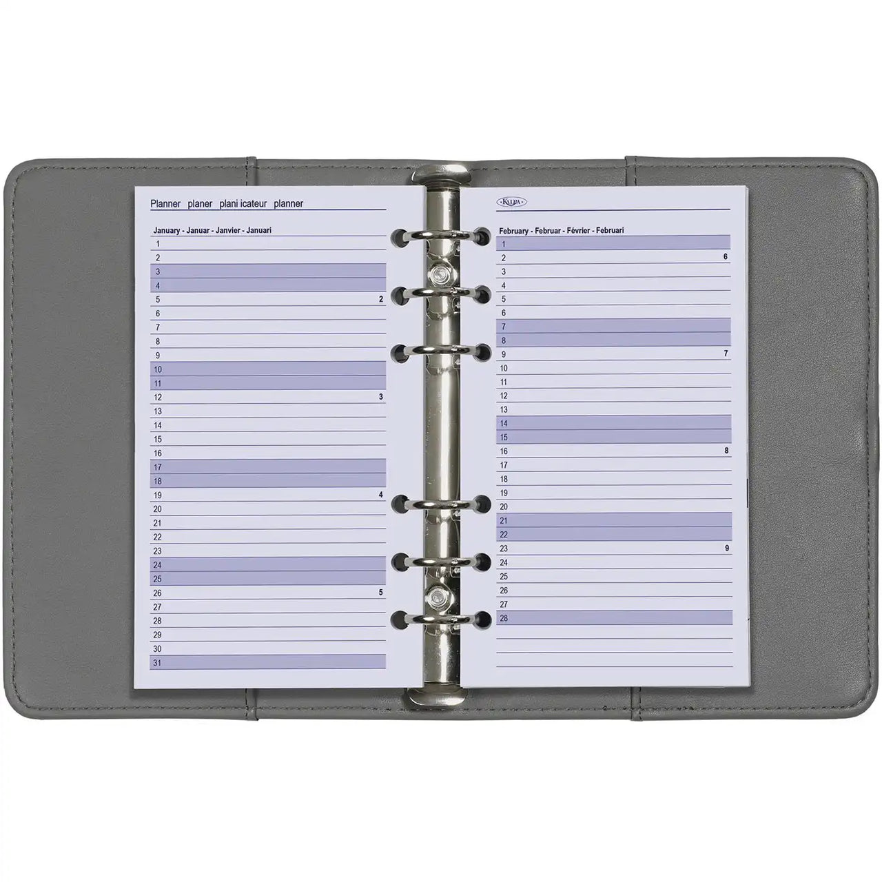 6216-26 170 x 95 mm Personal Ringbindemittel -Agenda -Einsätze EN FR DE NL 2026