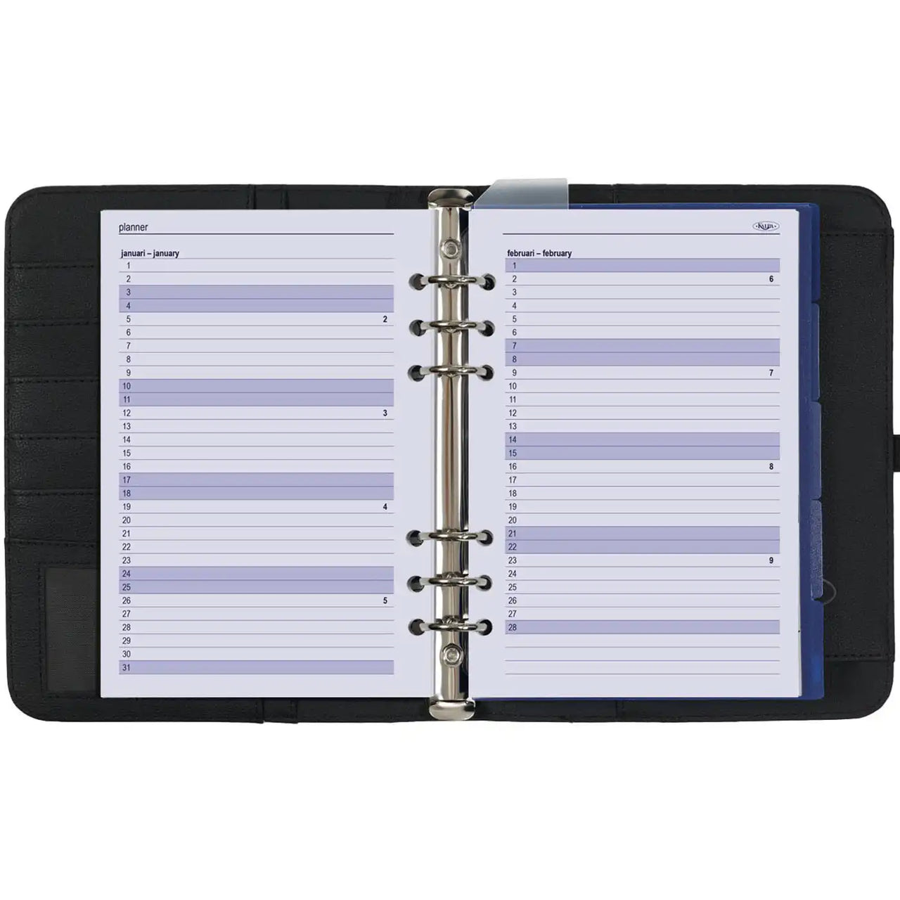 1011-01-P A5 Ring Planner Grain Black 2025 agenda