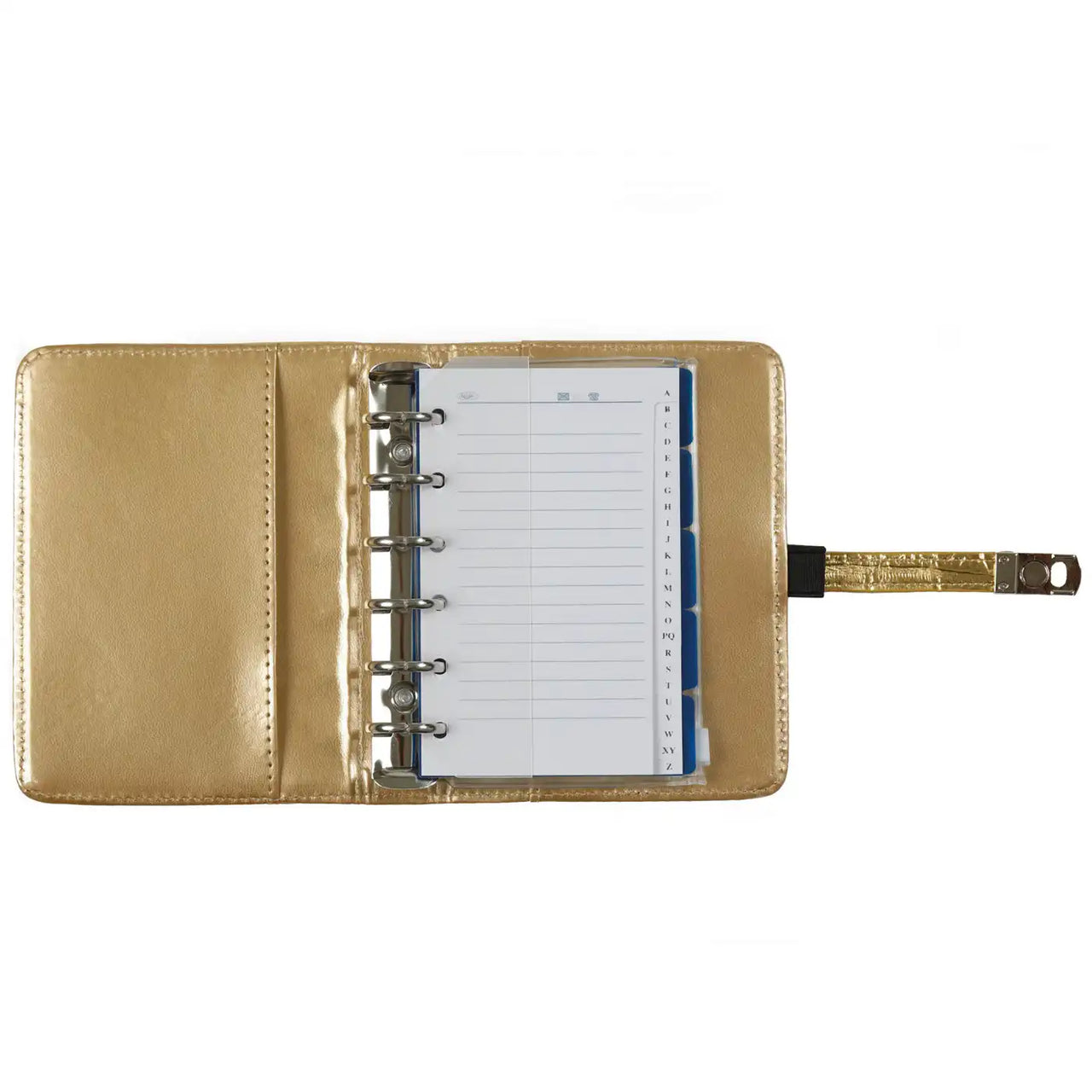 1311-14 Mini Ringbuch Organizer Croco Gold