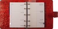1401-Sr Mini organizer, rode struisvogelprint – leer