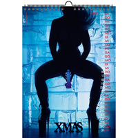 Calendar with a silhouette of a person sitting on ice, wearing high heels, with a blue and white background.