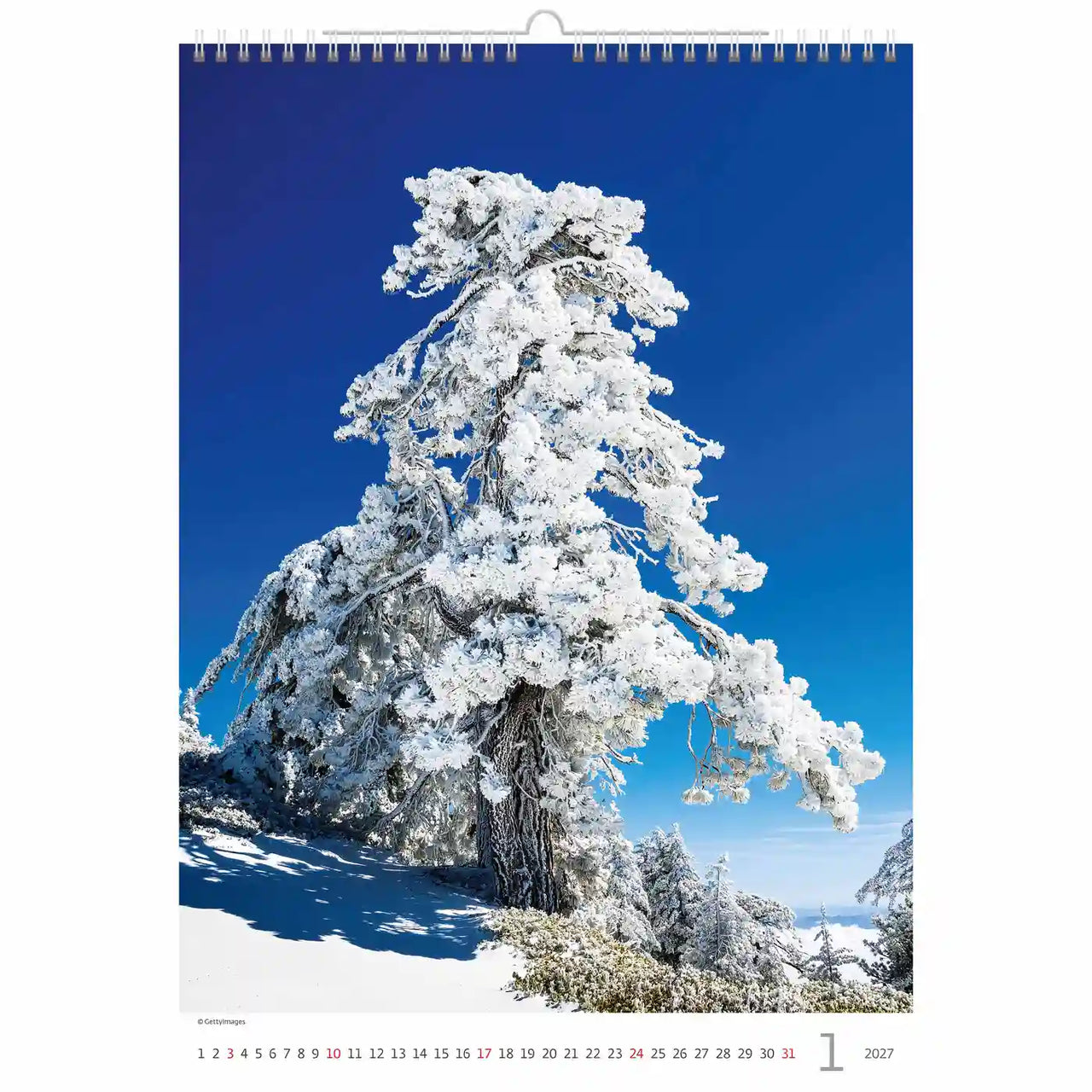 Kalender met een winters tafereel van een besneeuwde boom tegen een blauwe lucht.