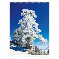 Kalender met een winters tafereel van een besneeuwde boom tegen een blauwe lucht.