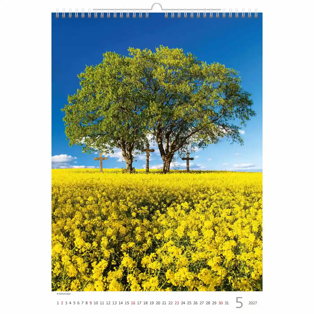 Kalenderpagina met een boom en gele bloemen onder een blauwe hemel