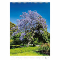 Kalenderpagina met een Jacaranda-boom in bloei tegen een blauwe lucht