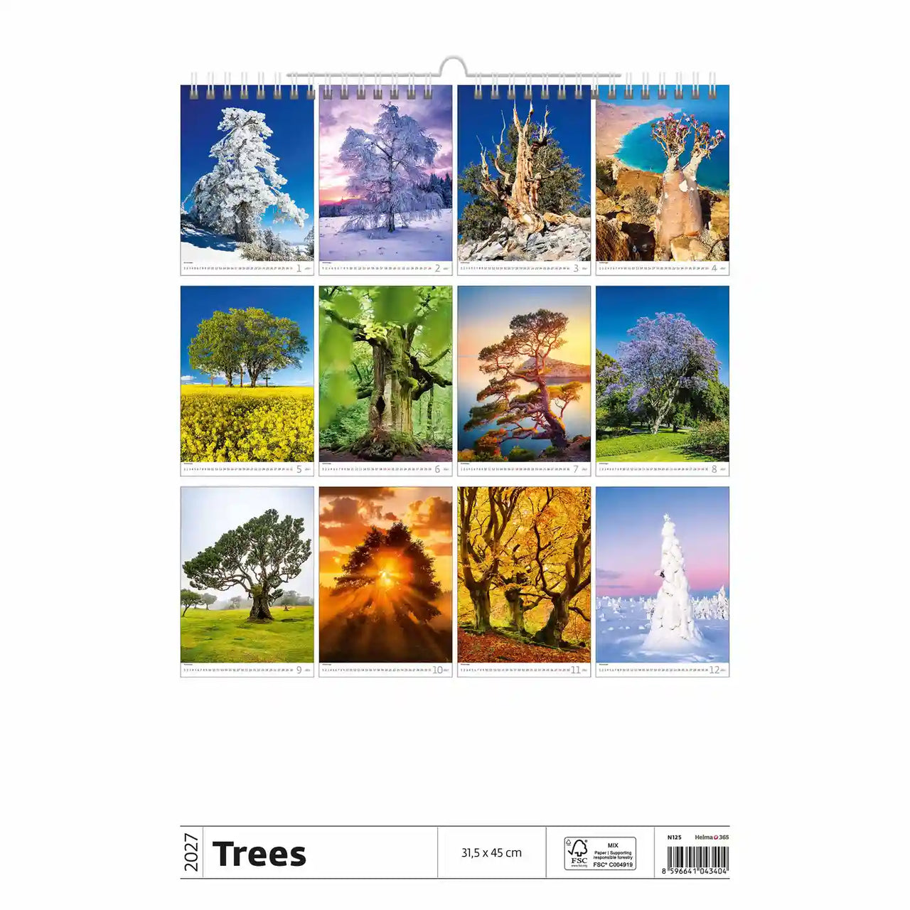 Wandkalender getiteld 'Trees' met diverse boomafbeeldingen op een witte achtergrond